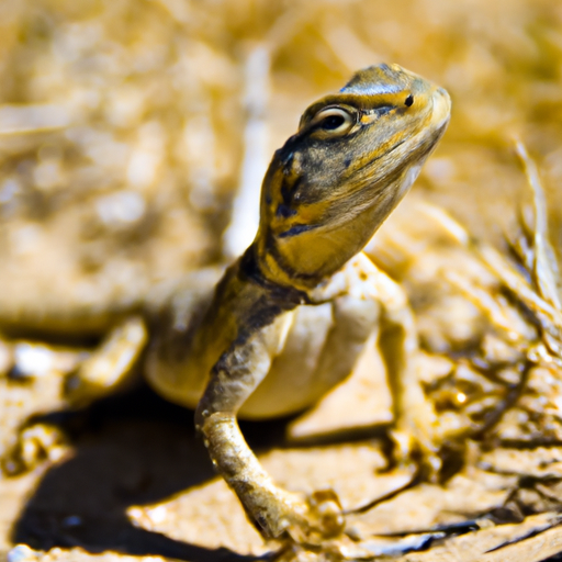 How Long Can a Lizard Live Without Food?