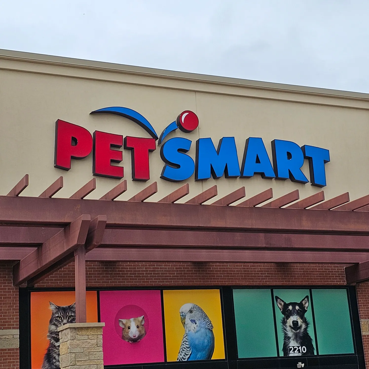 types of snakes at petsmart
