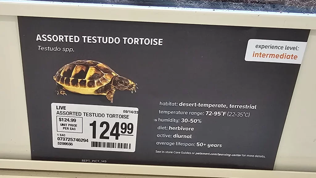 Does Petco Sell Turtles?