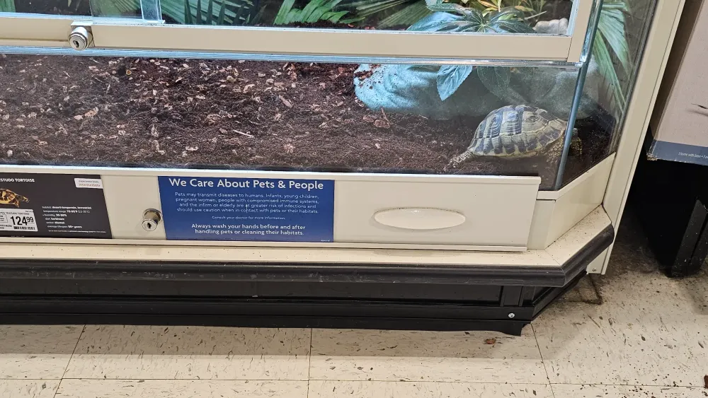 Does Petco Sell Turtles?