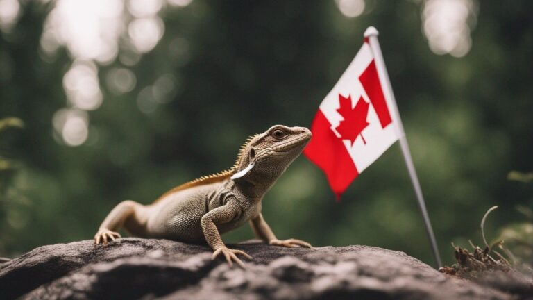 Are There Lizards In Canada?