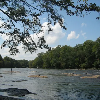 Are There Alligators In The Chattahoochee River?