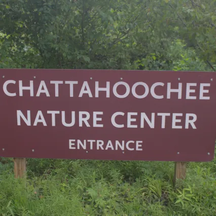Are There Alligators In The Chattahoochee River?